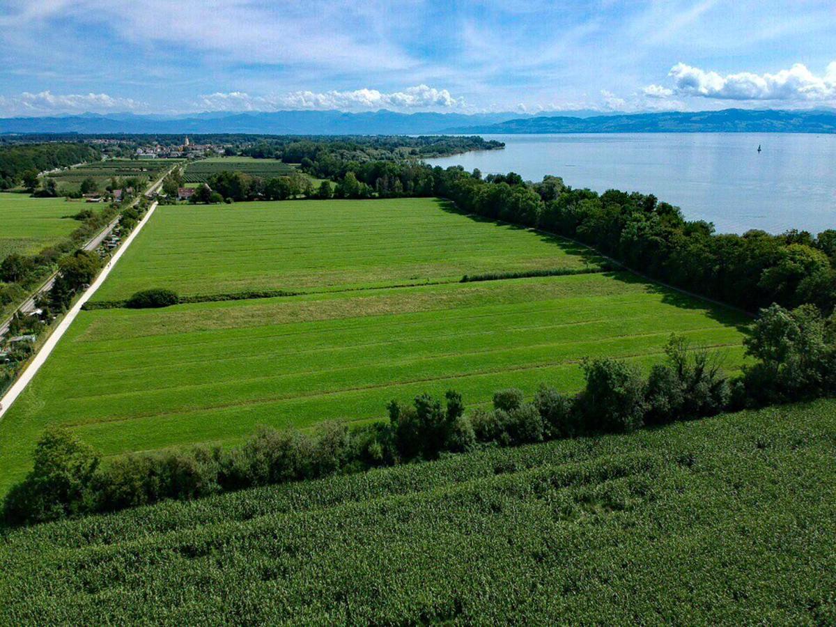 Wohlfuehlloft Seekretzer Mit Privatem Seezugang Friedrichshafen Bagian luar foto